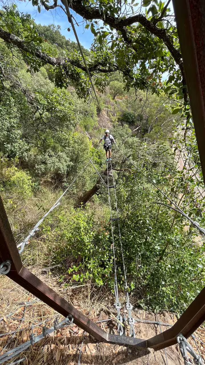 Adventurer crosses a thrilling suspension bridge on the Via Ferrata El Caimán in Alcornocales Natural Park, surrounded by lush greenery.