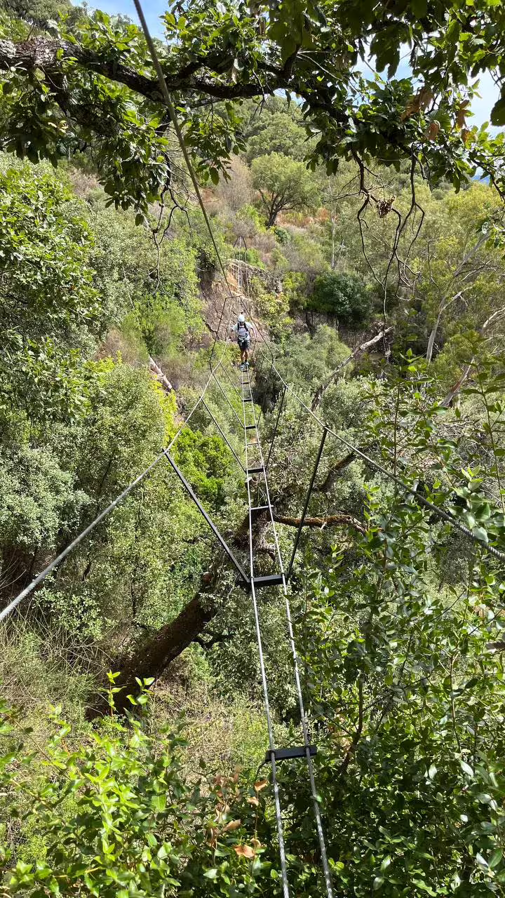Daring hiker crosses suspension bridge amid lush forest in Via Ferrata El Caimán, Alcornocales Natural Park adventure.