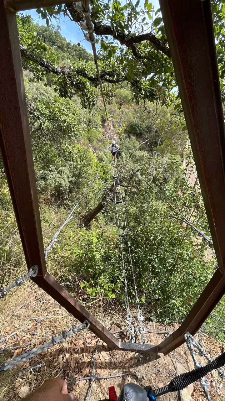 Traveler on thrilling suspension bridge in Via Ferrata El Caimán surrounded by vibrant forest scenery in Alcornocales.