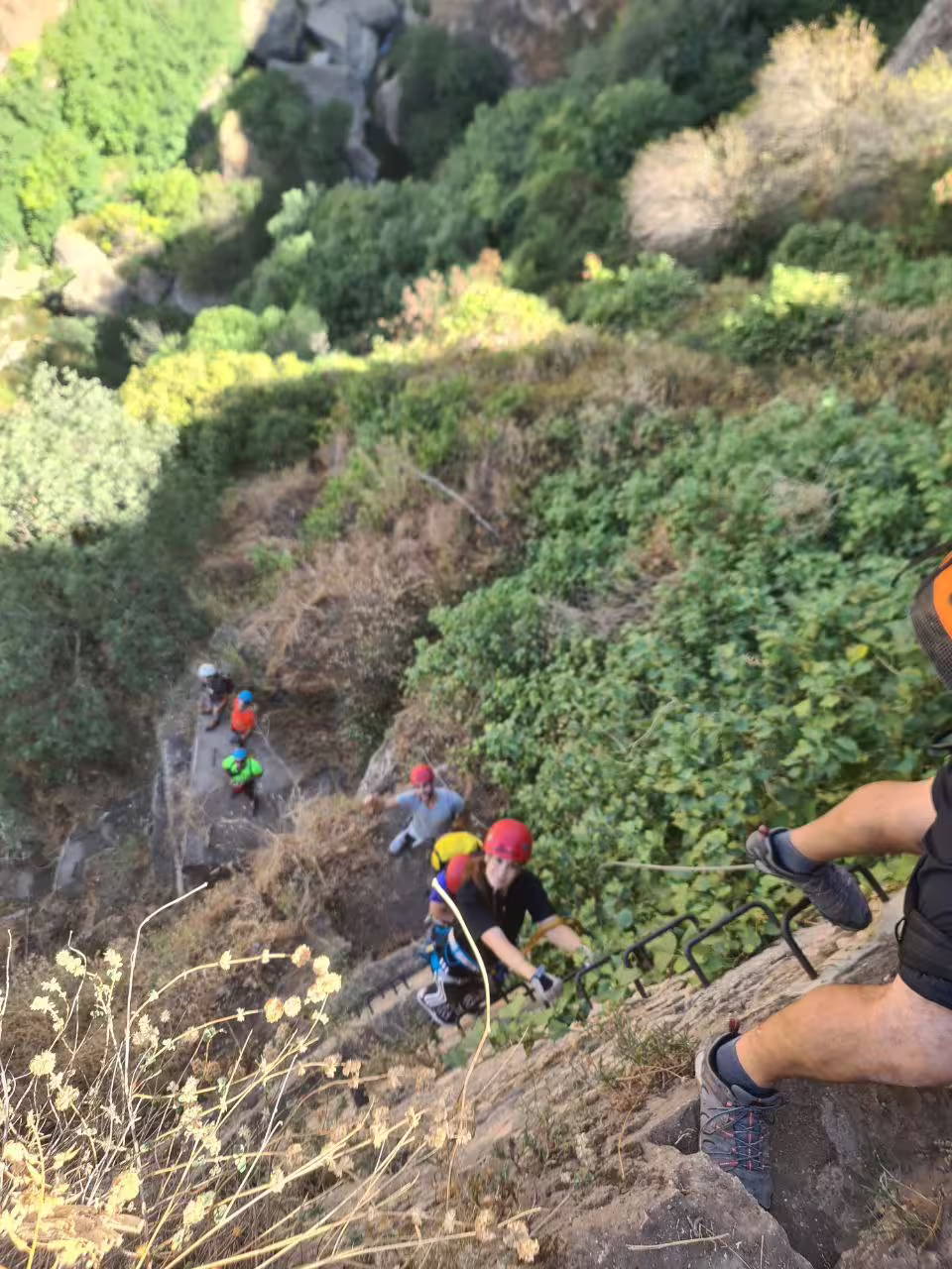 Adventurers climb the rugged Via Ferrata Tajo de Ronda, surrounded by lush greenery and rocky cliffs.