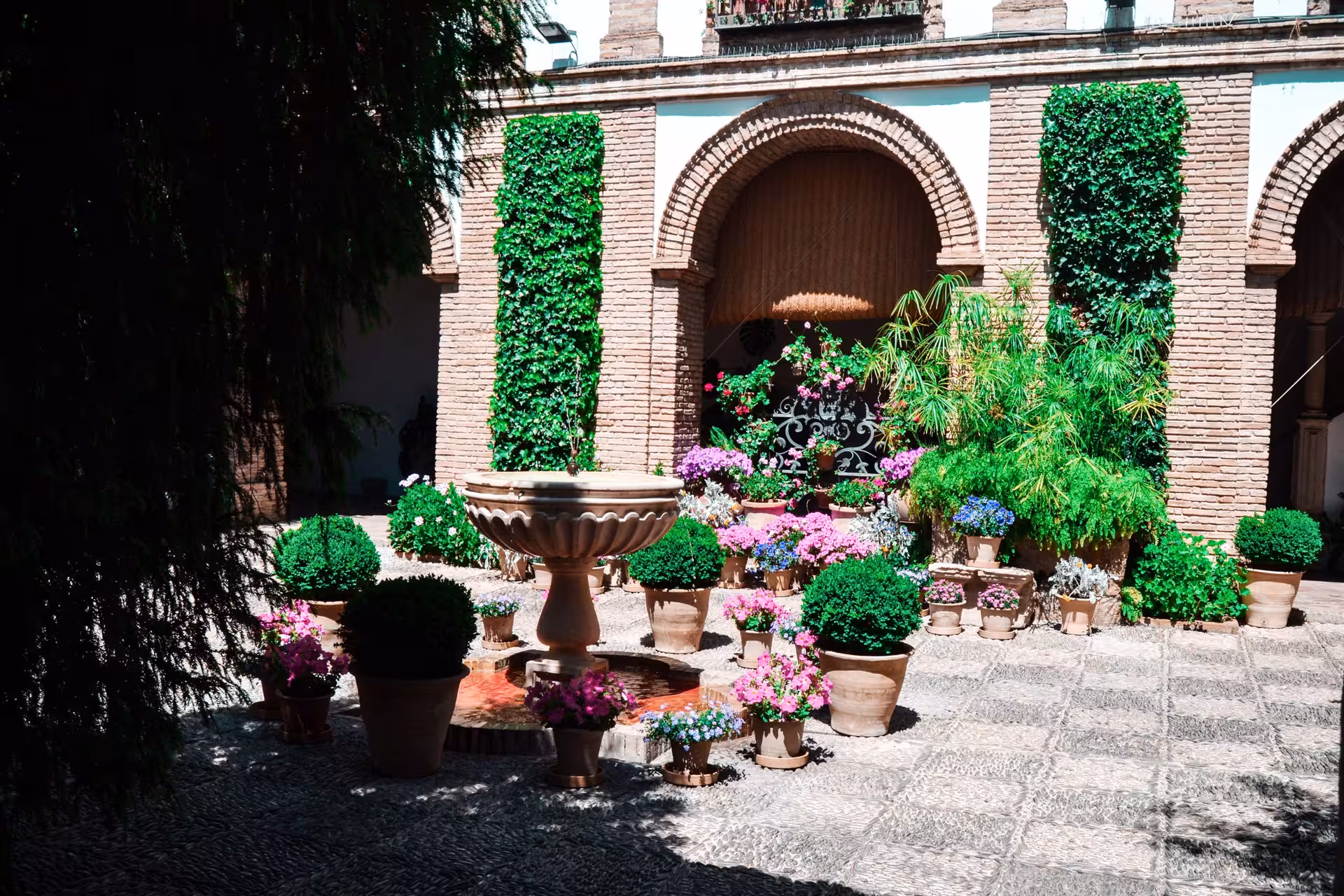 Viana Palace courtyard with lush greenery, vibrant potted flowers, and a classic stone fountain in Cordoba.