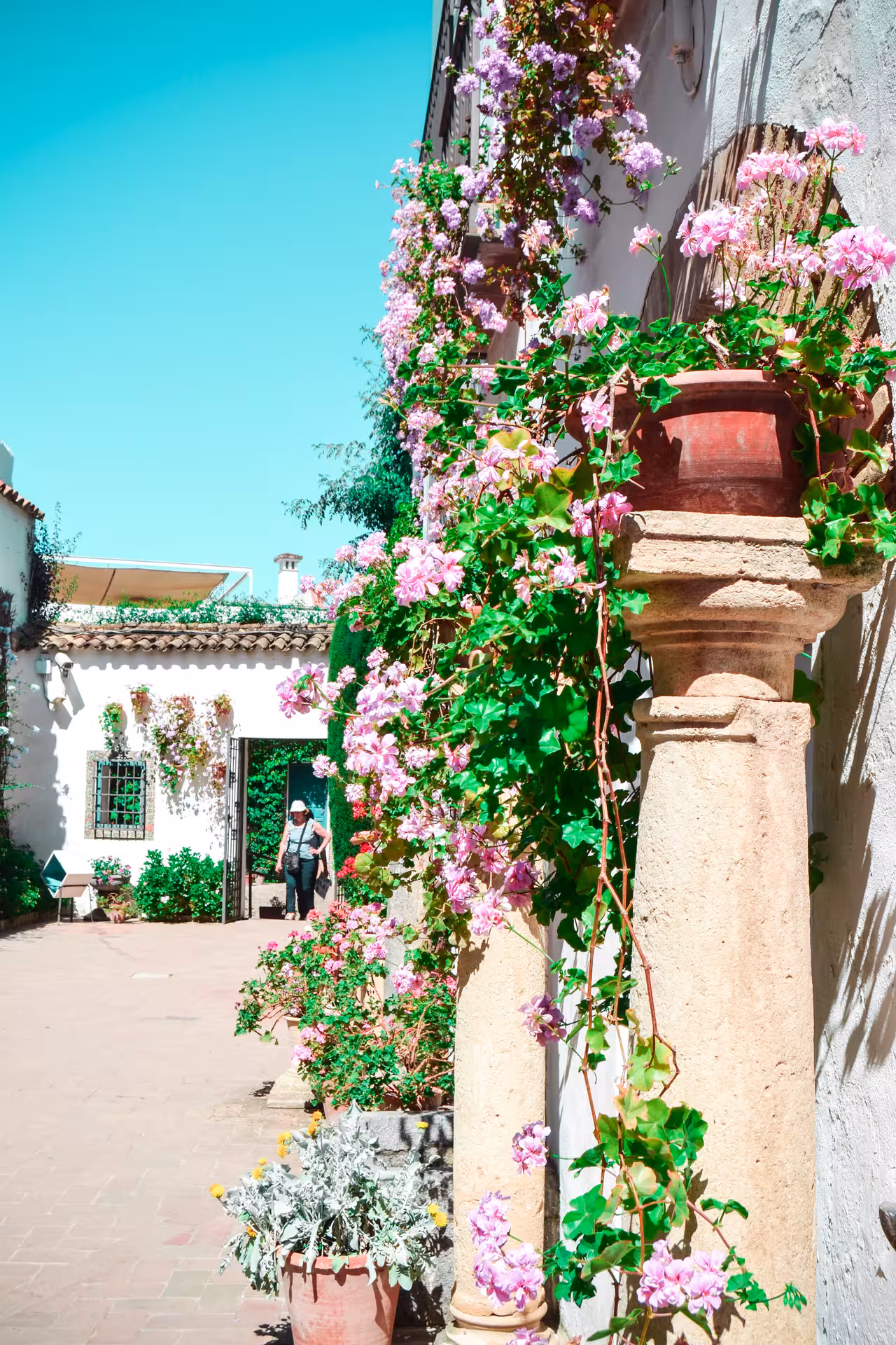 Explore the vibrant floral displays and charming architecture of Viana Palace courtyards on a guided tour.