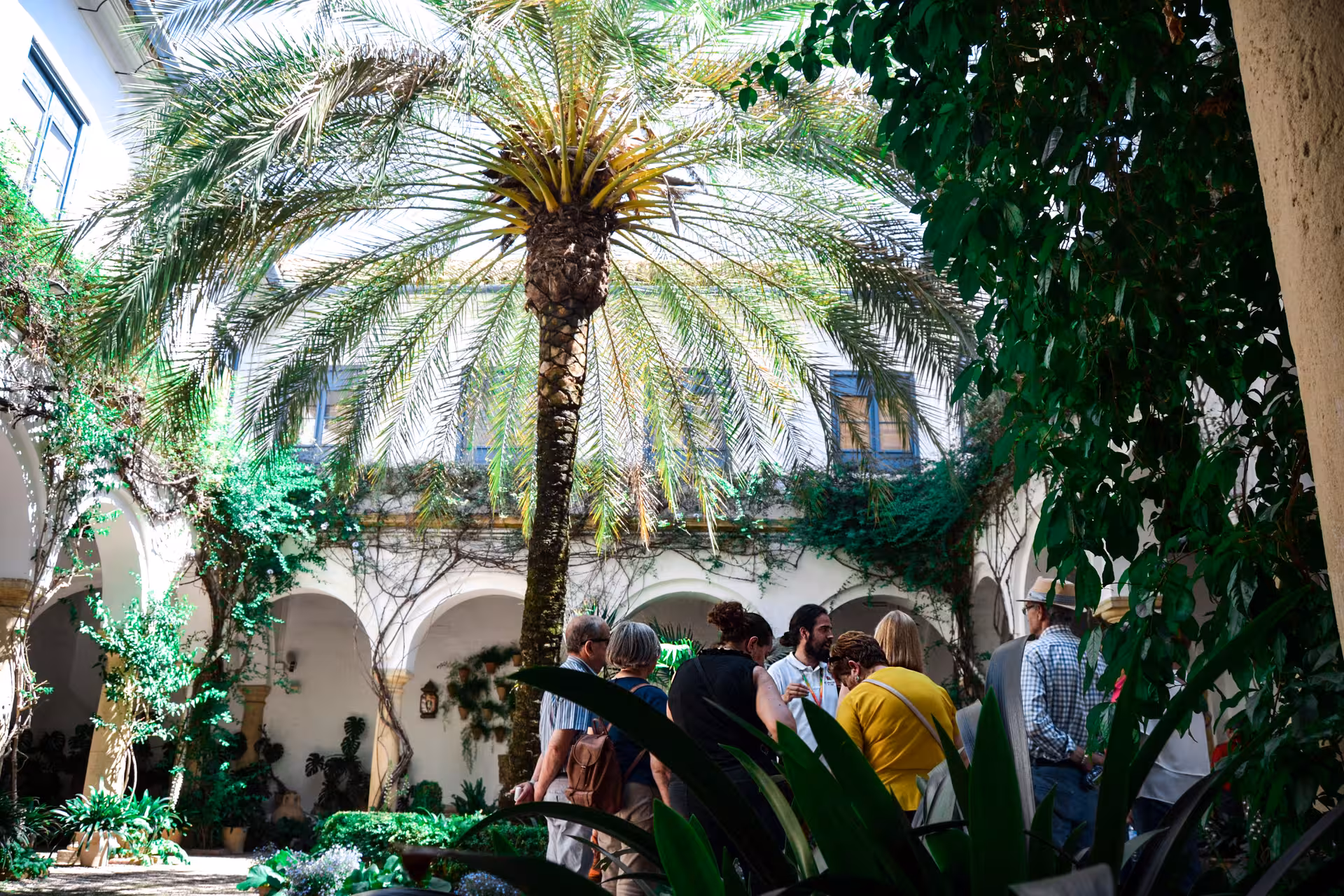 Tour group exploring lush courtyard with palm tree at Viana Palace, showcasing Andalusian architecture.