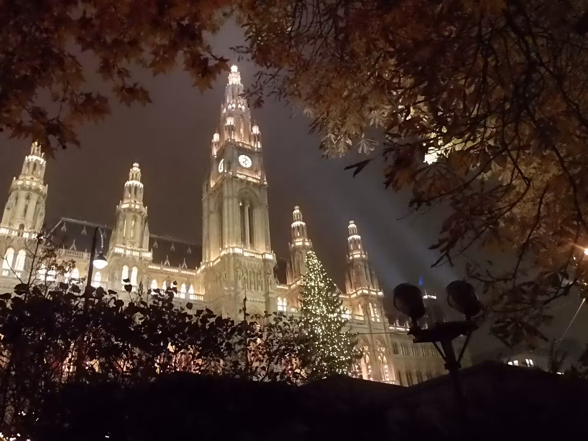 Vienna City Hall at night with a lit Christmas tree, highlight of the historical Christmas tree walk