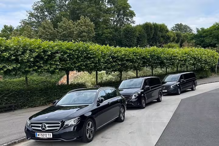 Private Vienna to Ljubljana and Lake Bled day tour with luxury car and minivan transfer service