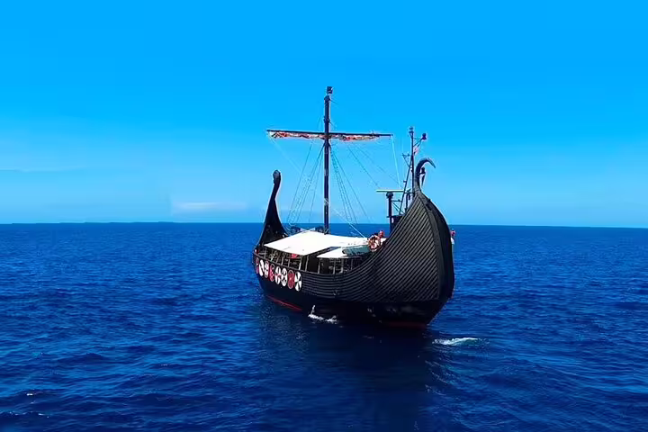 Authentic Viking ship sailing on open ocean for a thrilling 2-hour whale and dolphin watching Viking Cruise adventure.