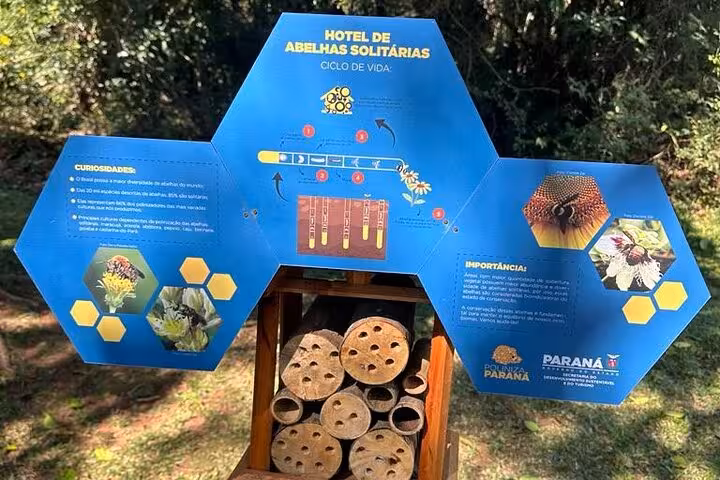 Educational bee hotel sign in Vila Velha State Park highlights solitary bees' life cycle and environmental importance.