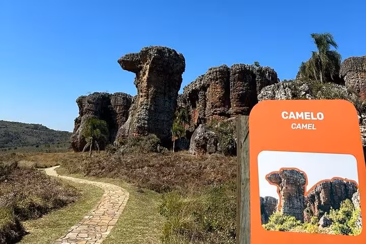 Explore Vila Velha State Park's iconic Camel rock formation under a clear blue sky, perfect for nature enthusiasts.