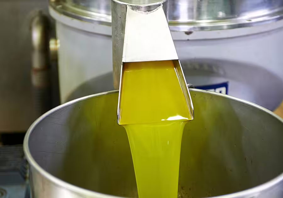 Golden extra virgin olive oil flowing from press at Villa Castelli, featured in the guided tasting experience