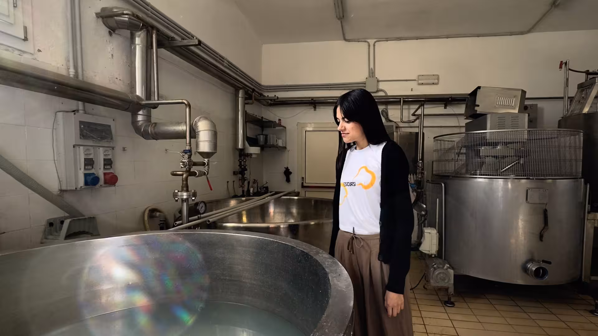 Visitor observes cheese-making process in Villanova Monteleone dairy farm's modern production facility.