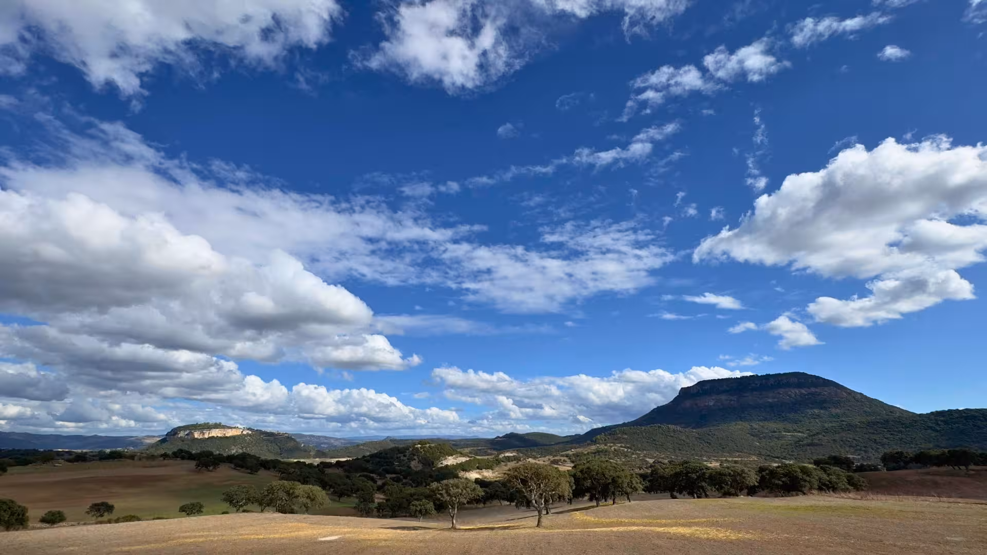 Scenic view of Villanova Monteleone's rolling hills under a vibrant blue sky, perfect for a cheese tasting tour.