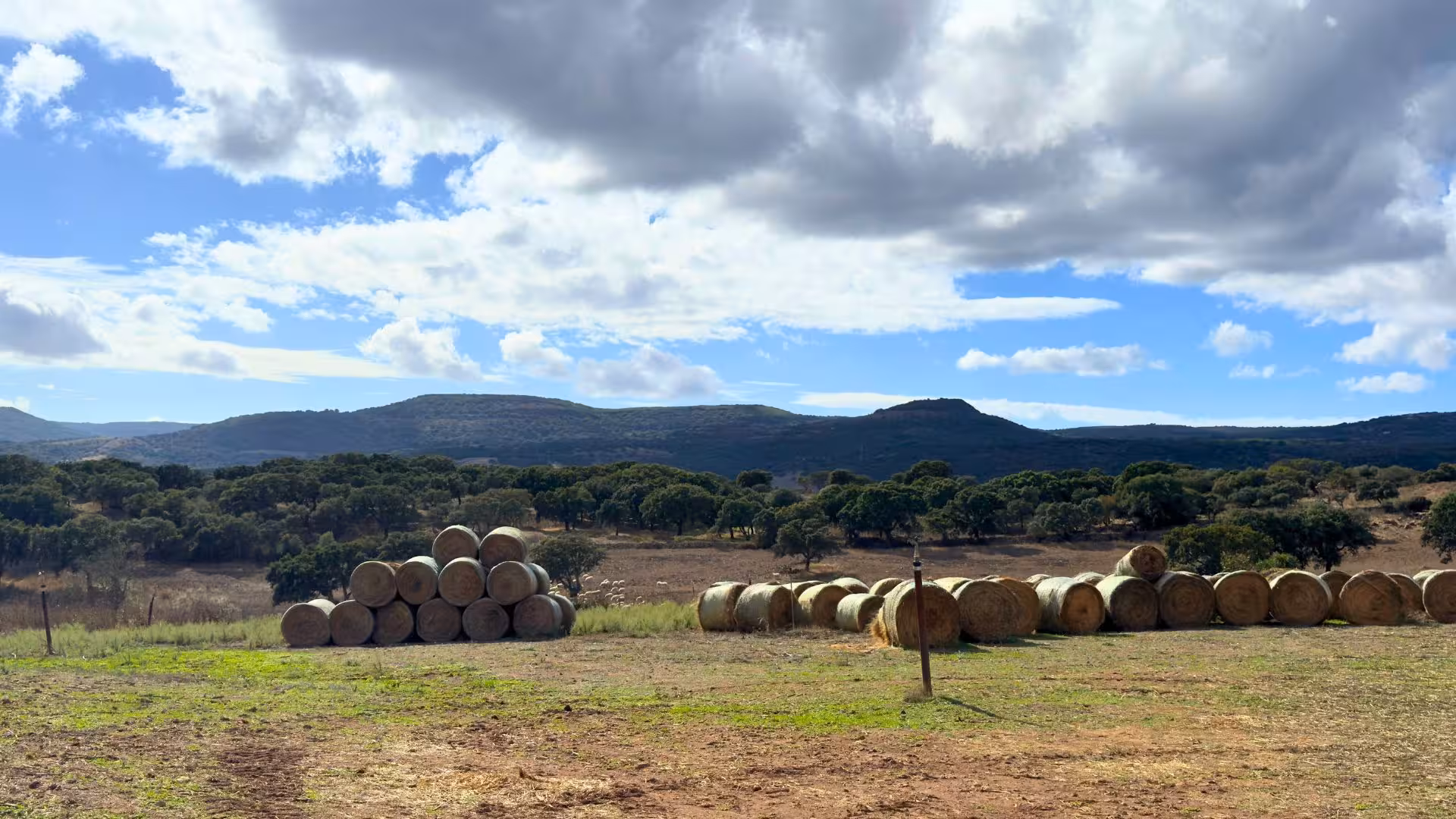 Scenic view of hay bales stacked against rolling hills and cloudy skies at Villanova Monteleone dairy farm.