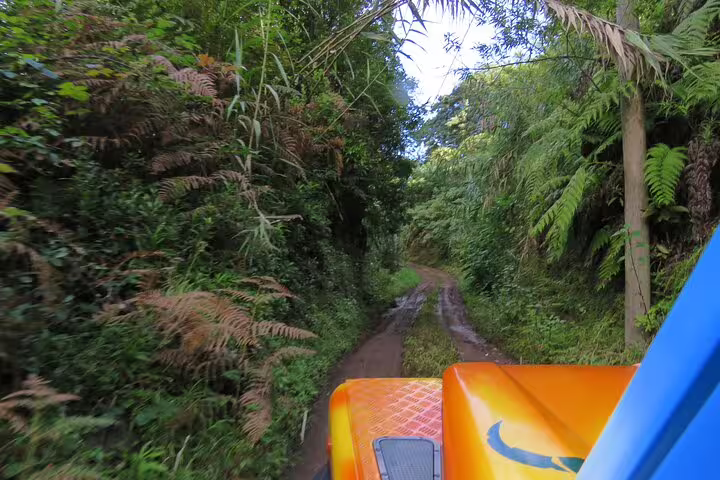 Explore lush vineyard trails on a thrilling 4x4 adventure, immersing in nature's beauty on the Vineyard Escapade Wine Tour.