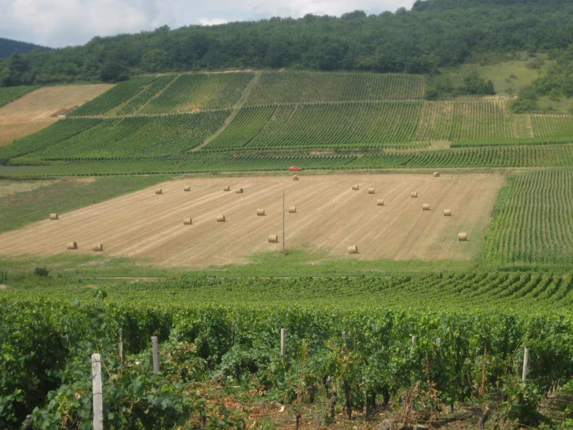 Discover breathtaking vineyard landscapes with rolling hills and hay bales on a winery tour near Cagliari.