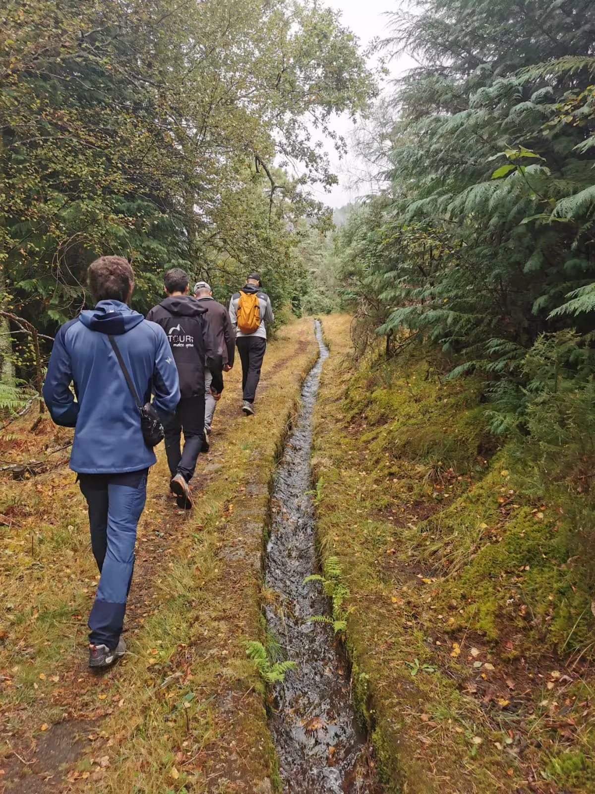 Group hiking through lush forest trail in Vinho Verde region, Northern Portugal, on a nature and wine tasting tour.