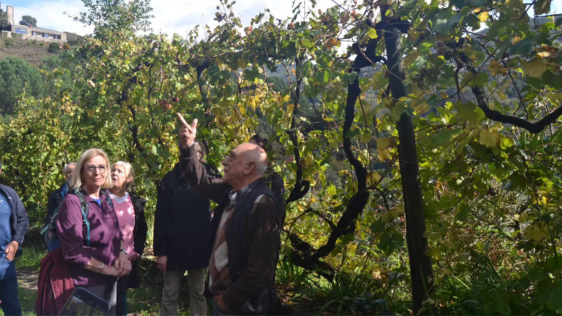 Image of a visit to one of the Vinho Verde vineyards