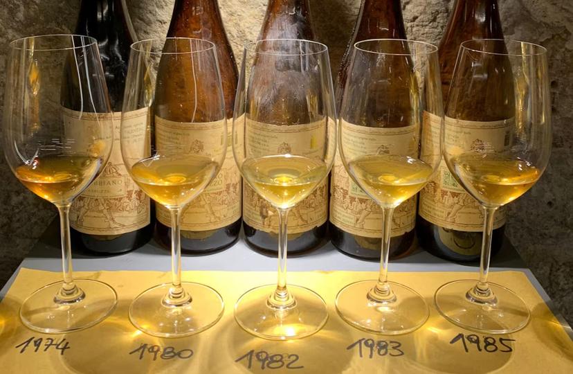 Vintage wine tasting setup in Pisa featuring glasses and bottles from years like 1974 to 1985 for a rich experience.