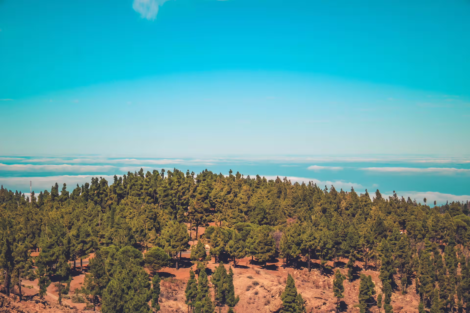 Lush green forest atop mountain with clear sky and clouds in the background on Volcano Heart Tour.