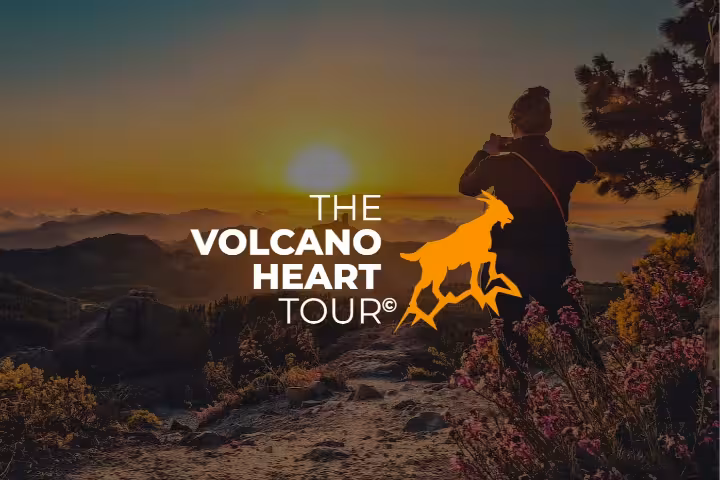 Tourist capturing a stunning sunset on the Volcano Heart Tour, surrounded by vibrant mountain flora.