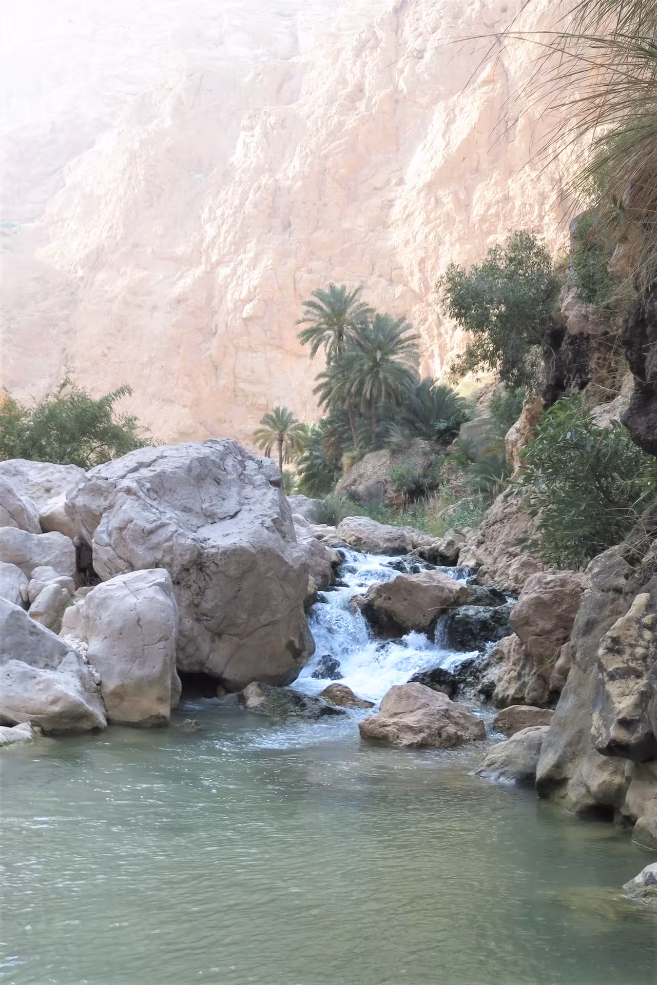 Tranquil Wadi Shab scene with cascading waterfall, palm trees and turquoise pool surrounded by dramatic canyon cliffs
