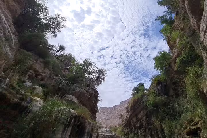 Palm trees and rugged cliffs under a cloudy sky in Wadi Tiwi, featured in the Muscat full-day tour package.