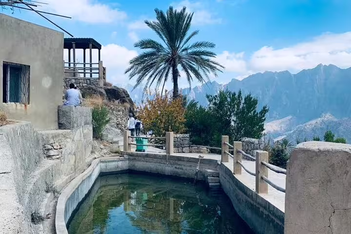 Wakan's serene poolside with palm tree and mountain backdrop, perfect for a peaceful private tour experience.