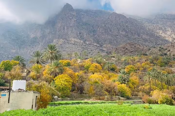 Scenic view of Wakan village with lush greenery and palm trees against a backdrop of majestic mountains.