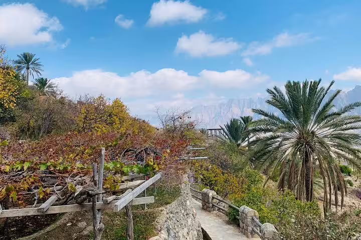 Picturesque pathway in Wakan Village surrounded by palm trees and lush vegetation, offering serene tour experiences.