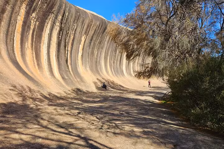 Explore the striking curves of Wave Rock on a day tour, showcasing its unique geological formations under a clear sky.