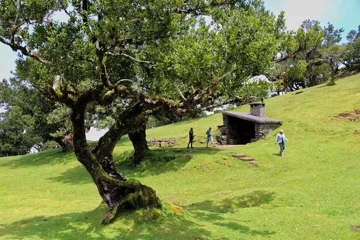 Scenic view of lush green landscape in West Madeira with travelers exploring near a rustic stone shelter on a private 4x4 tour.