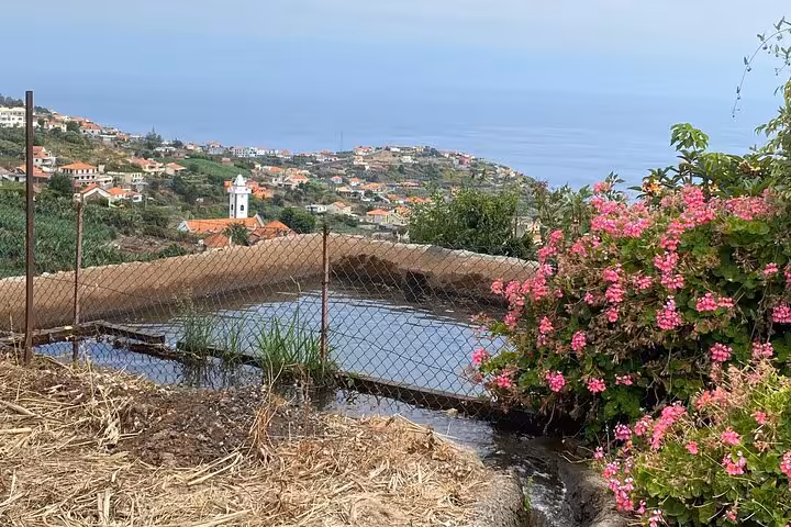 Coastal village view from West Madeira 4x4 tour, with levada irrigation pool and pink flowers above sea