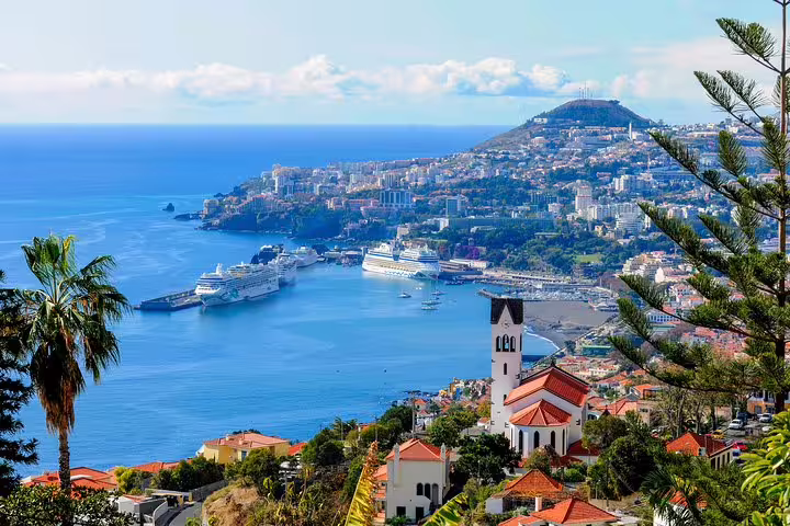 Stunning panoramic view of Funchal's harbor with cruise ships and cityscape, a highlight of the West Tour.