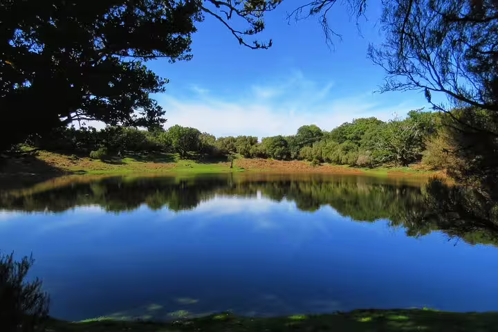 Explore serene volcanic pools surrounded by lush greenery on the West volcanic pools & Unesco 4x4 Tour.