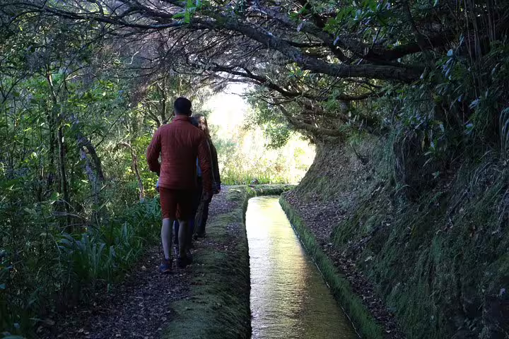 Tourists walk along a lush, shaded path by a water channel, experiencing nature on the West volcanic pools & Unesco 4x4 Tour.
