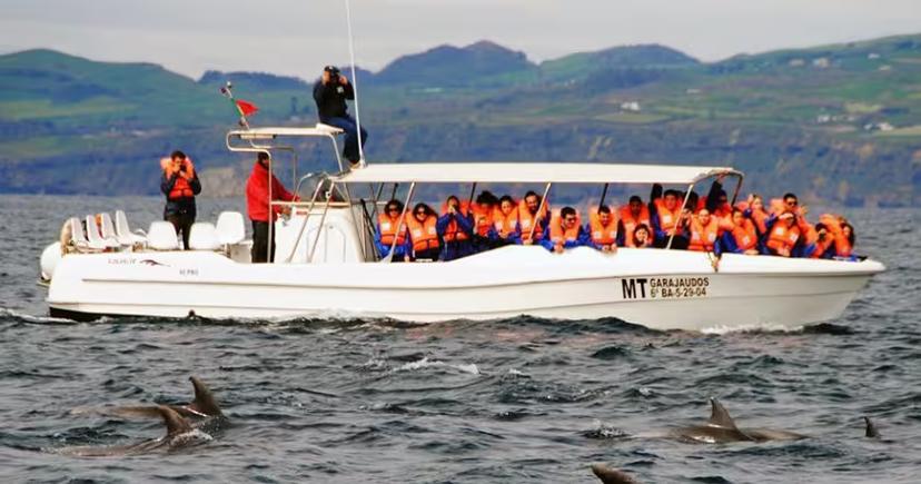 Boat tour from Vila Franca do Campo with passengers watching dolphins in the Azores on a half-day cruise