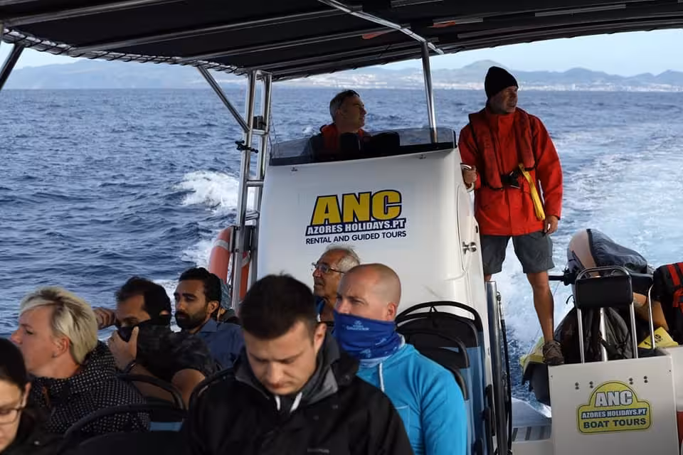 Passengers aboard a wildlife boat with guide at sea on a half-day whale and dolphin watching tour along the coast