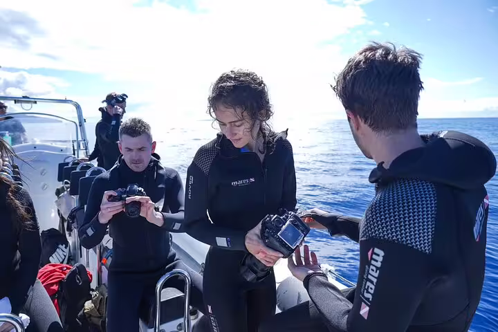 Tourists in wetsuits prepare cameras on a boat for whale and dolphin watching in Funchal, Madeira under clear skies.