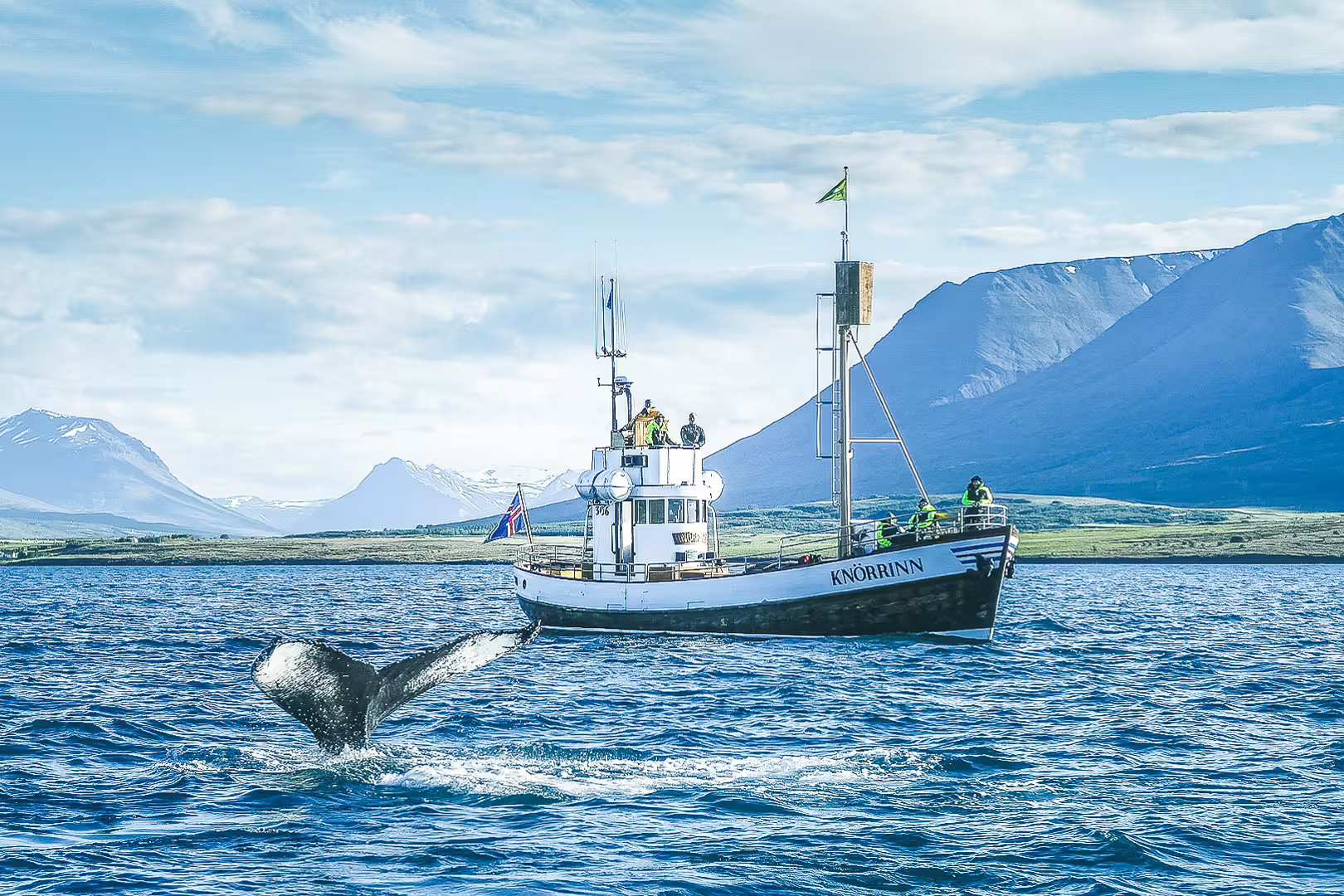 Whale tail emerges near a boat on a scenic Eyjafjörður whale watching tour from Árskógssandur against Icelandic mountains.