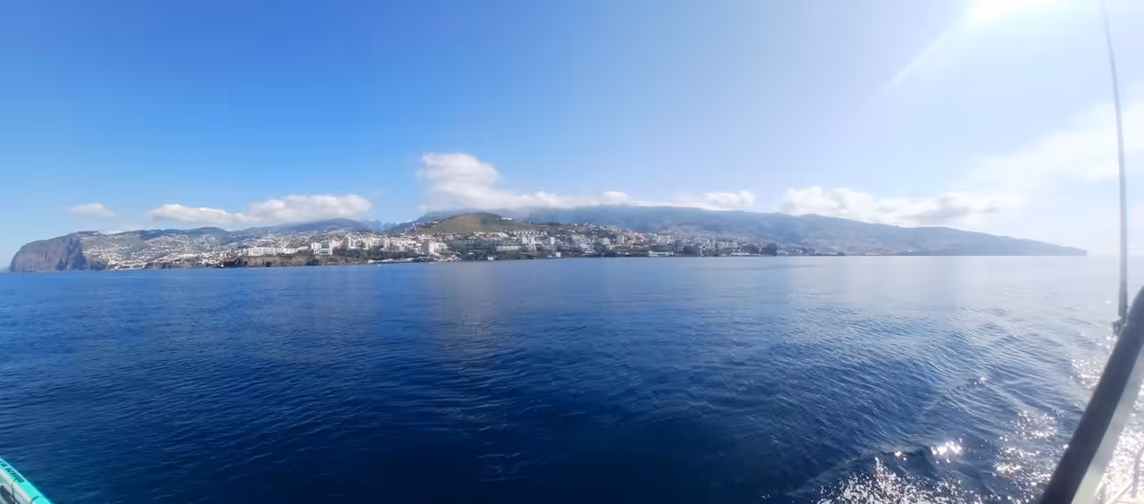 Scenic coastal view from a boat, perfect for a whale watching tour under clear blue skies.