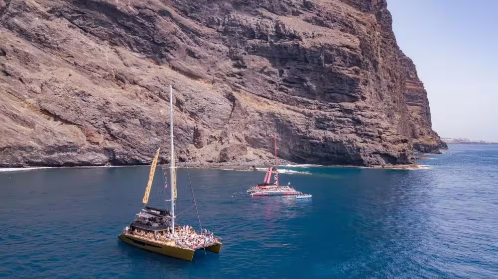 Catamarans sailing near dramatic cliffs for whale watching in Costa Adeje, offering scenic ocean views and adventure.
