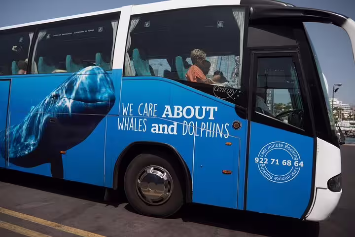 Whale-themed tour bus with ocean conservation message parked at Los Gigantes port.