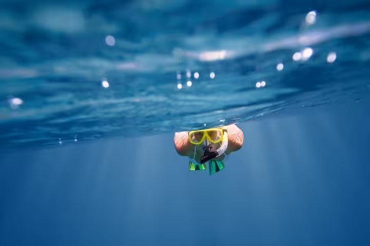 Snorkeler in clear Red Sea water on White Island and Ras Mohamed snorkeling trip from Sharm El Sheikh