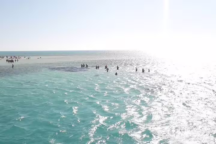 Crystal-clear shallows at White Island on Ras Mohamed snorkeling day trip by VIP boat from Sharm El Sheikh