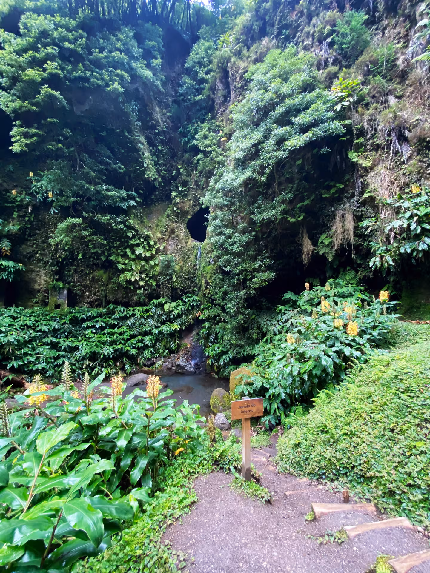 Green ravine leading to Window to Hell cave on São Miguel, Azores, with thermal pool, dense foliage and volcanic rock walls