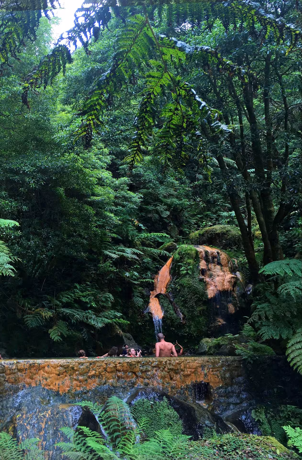Travelers bathe in the jungle-framed geothermal pool at Window to Hell waterfall on the HIKE Window to Hell and Old Boiler tour