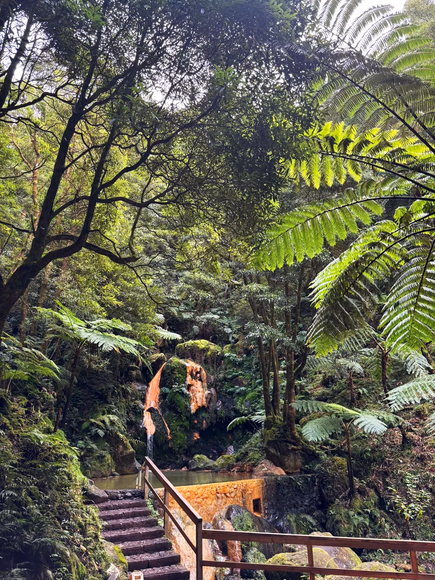 Wooden trail and stairs lead through dense forest to the steaming Window to Hell hot spring waterfall on São Miguel hiking tour