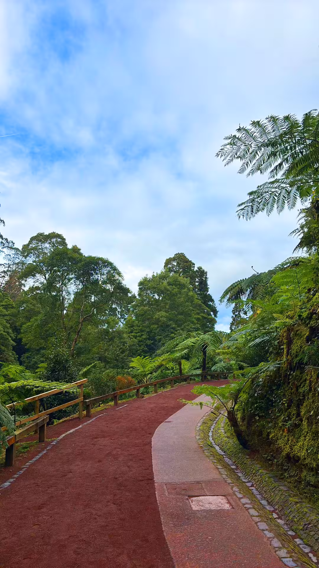 Lush forest trail to Window to Hell on São Miguel Island, Azores, with red volcanic path and tropical ferns under blue sky