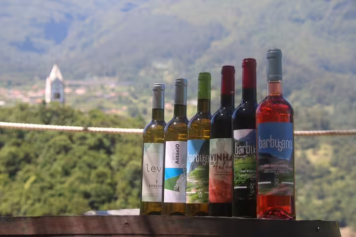Assorted wine bottles on a scenic vineyard backdrop, part of bestselling wine tour and 4x4 adventure with skywalk experience.