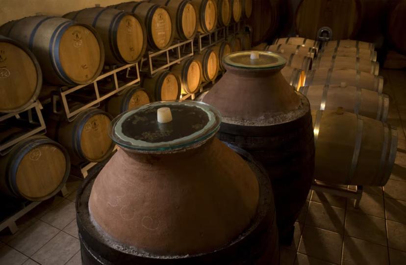 Inside a wine cellar near Riccione and Rimini with wooden barrels and traditional clay amphorae for aging wine.
