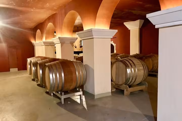 Wine cellar with wooden barrels in Grasse, a key feature of the Wine Tasting and Perfume Factory tour in France.